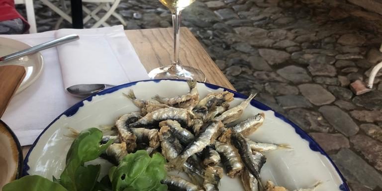 WhatsApp Image 2019-08-19 at 10.28.39